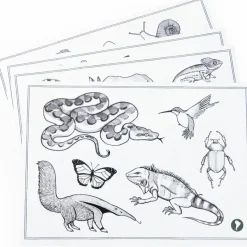 Tablette lumineuse Kidywolf Tout autour du monde|Moulin Roty Discount