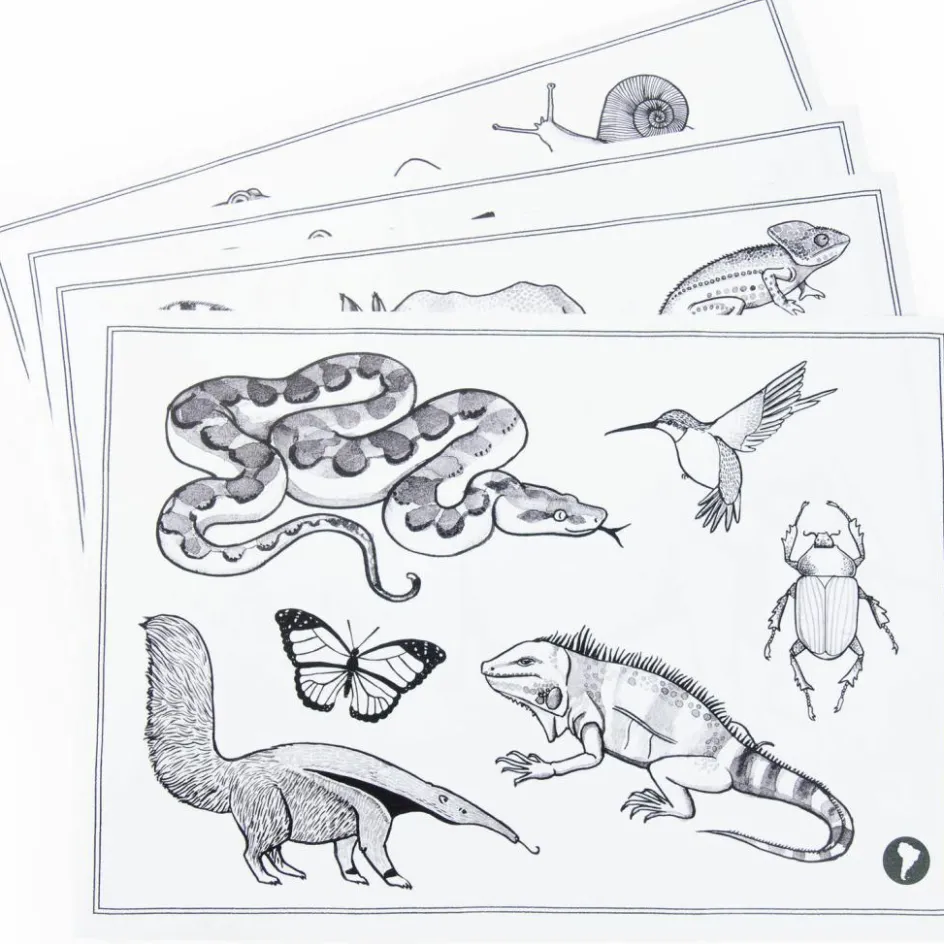 Tablette lumineuse Kidywolf Tout autour du monde|Moulin Roty Discount