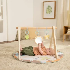 New Ingenuity Tapis d'éveil avec arche en bois Tanner
