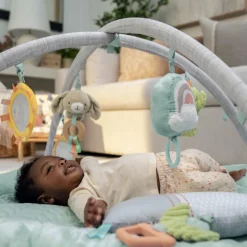 Clearance Ingenuity Tapis d'éveil Calm Springs