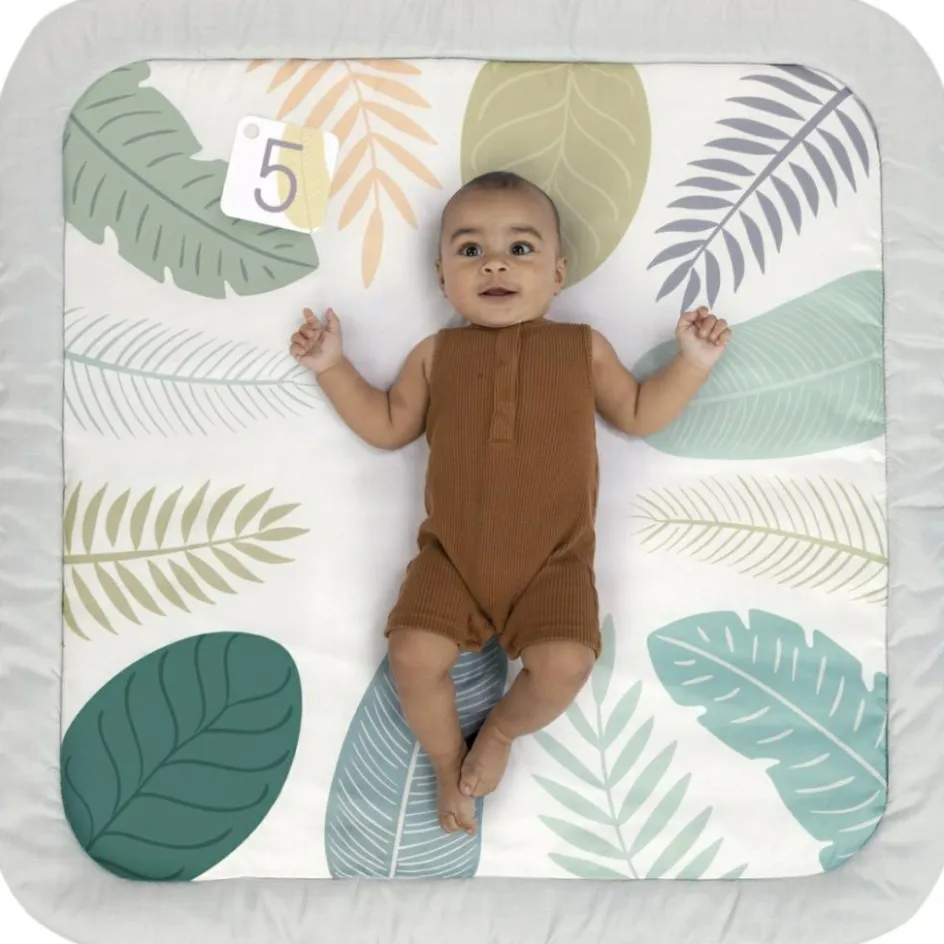 Clearance Ingenuity Tapis d'éveil Petit éléphant - Reconditionné