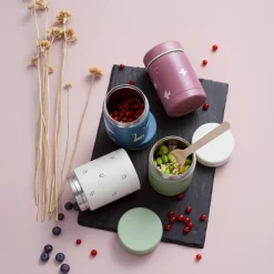 Thermos alimentaire Dino (300 ml)|Fresk Outlet