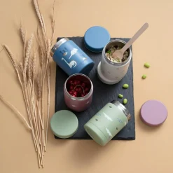 Thermos alimentaire Dino (300 ml)|Fresk Outlet