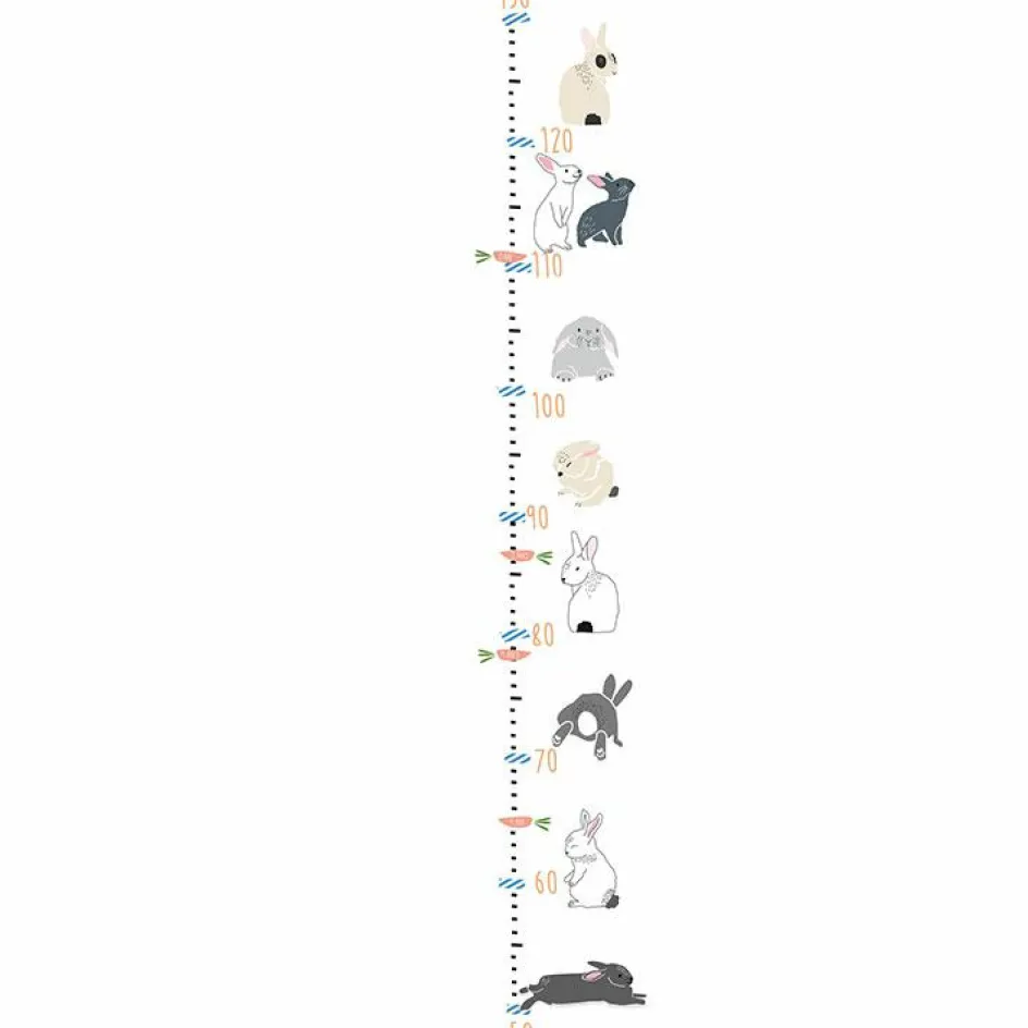 Toise Lapins|Mimi'lou Online