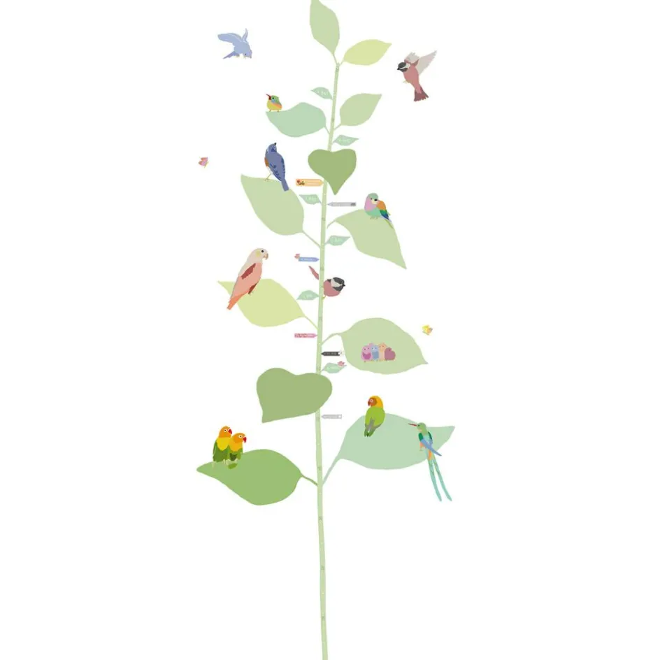 Toise With the birds|Mimi'lou