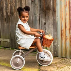 Tricycle évolutif Dusty Pink|Banwood Best