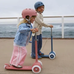 Trottinette ECO Raspberry|Banwood Best