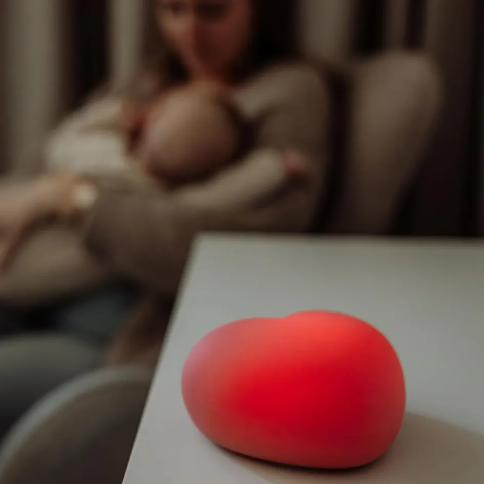 Online FLOW Veilleuse d’allaitement Ruby vieux rose