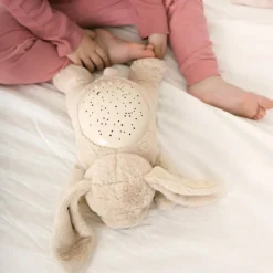 Veilleuse peluche copain lapin|Cloud B Online