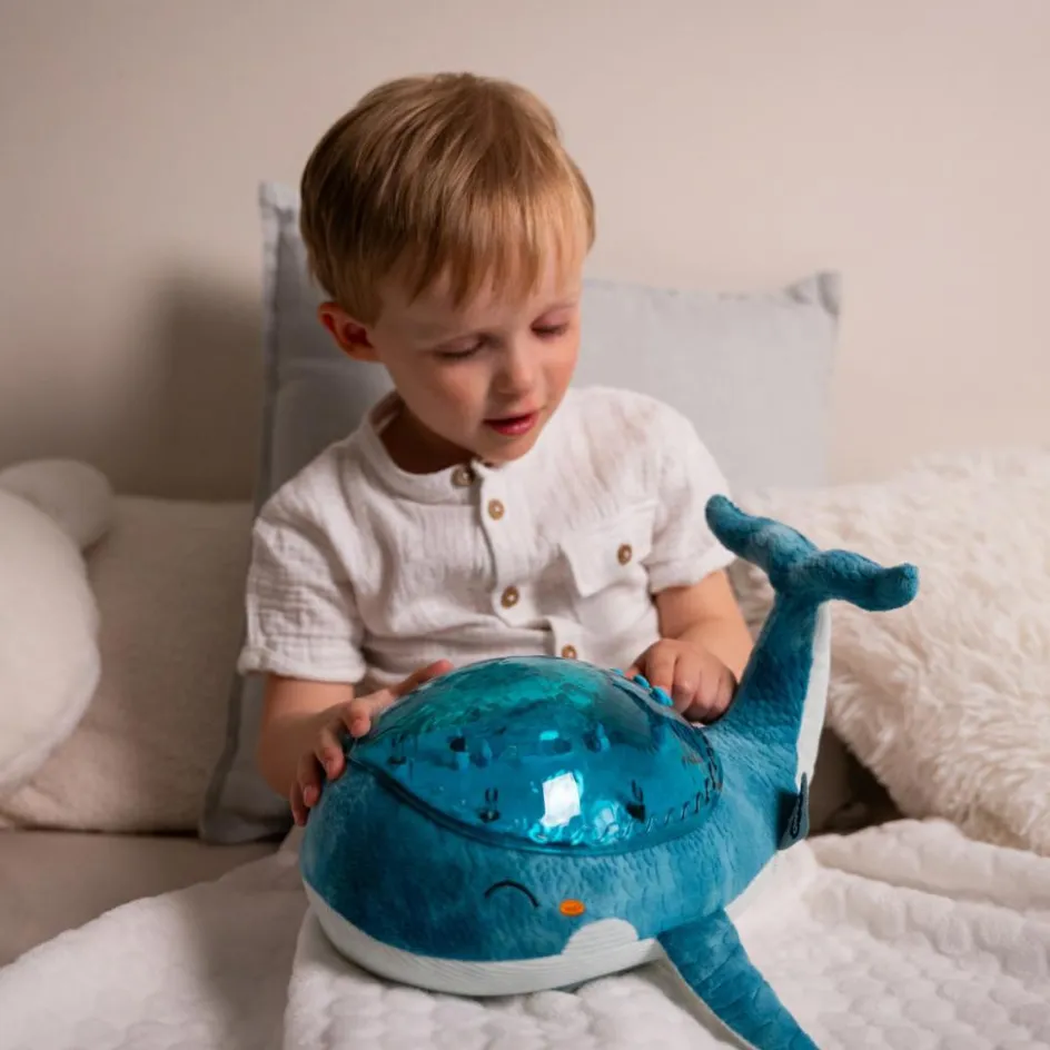 Clearance Cloud B Veilleuse peluche Tranquil Baleine™ bleue (rechargeable)