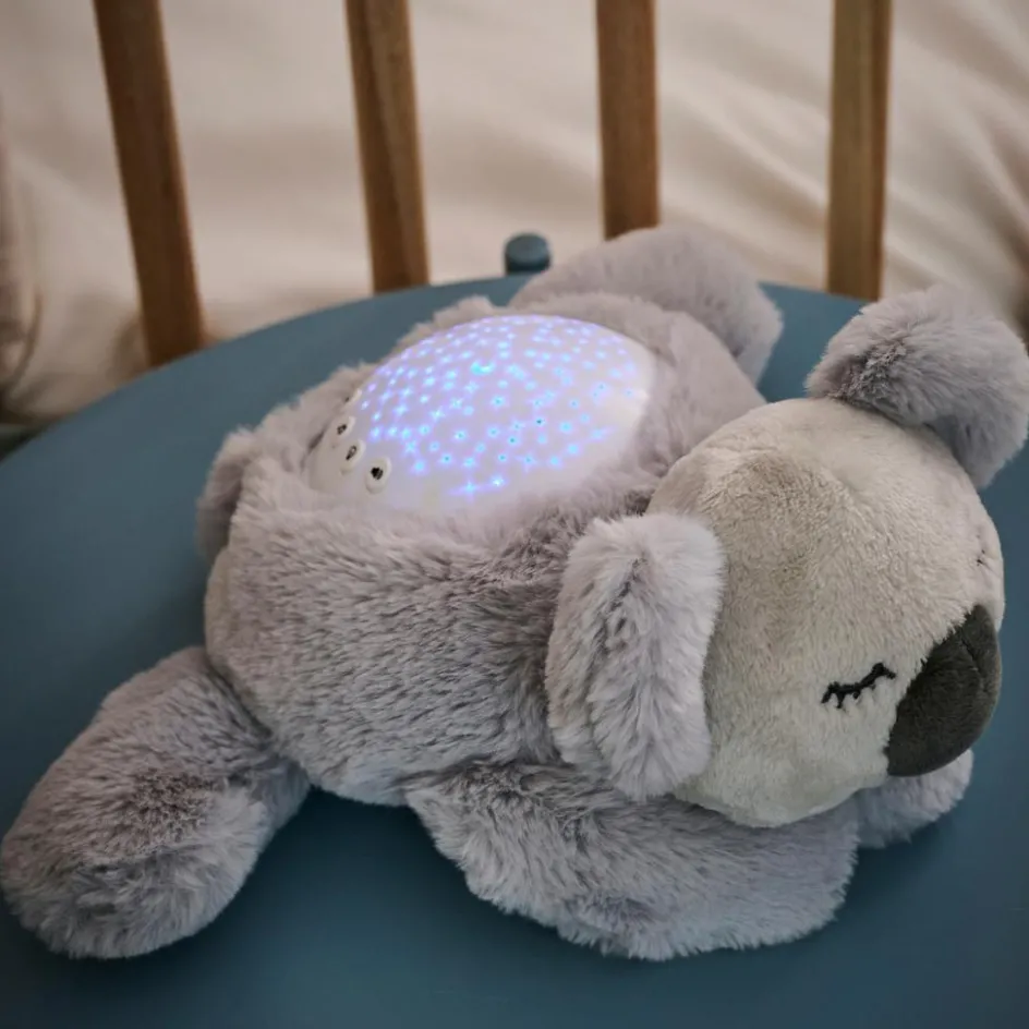 Veilleuse projecteur Lapidou Koala gris|Nattou Clearance