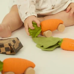 Voiture et jouet de dentition Cathy la carotte|Oli & Carol Best