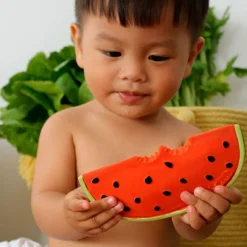 Wally la pastèque en latex d'hévéa|Oli & Carol Clearance